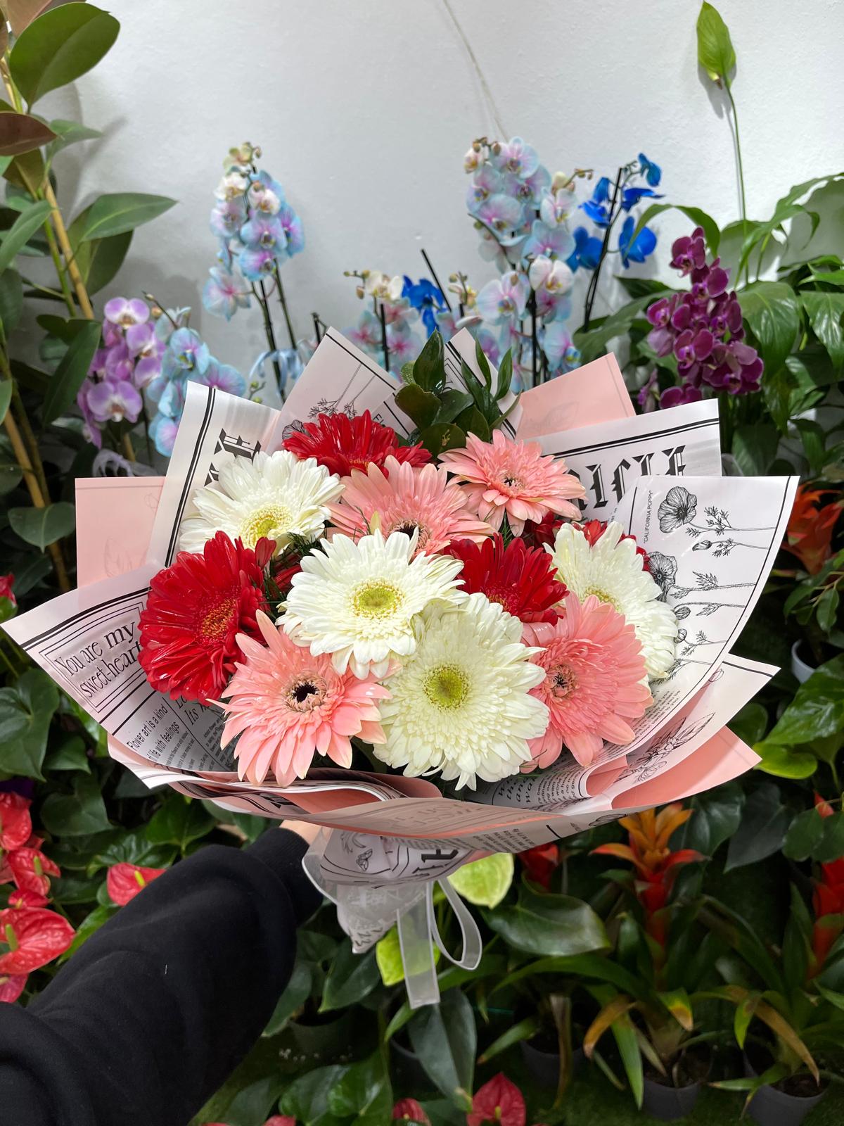 Gerbera Buketi